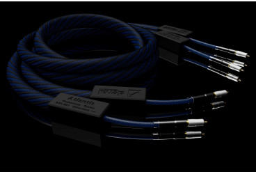 Cabluri Interconect